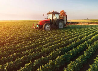 Cum va fi următoarea săptămână pentru agricultură? Specialiștii anunță secetă în Dobrogea, pe suprafeţe extinse din Moldova şi în unele zone din Muntenia şi Banat