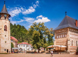 Câte orașe și comune ar pierde județul Neamț dacă s-ar face reorganizarea teritorială în funcție de locuitori?